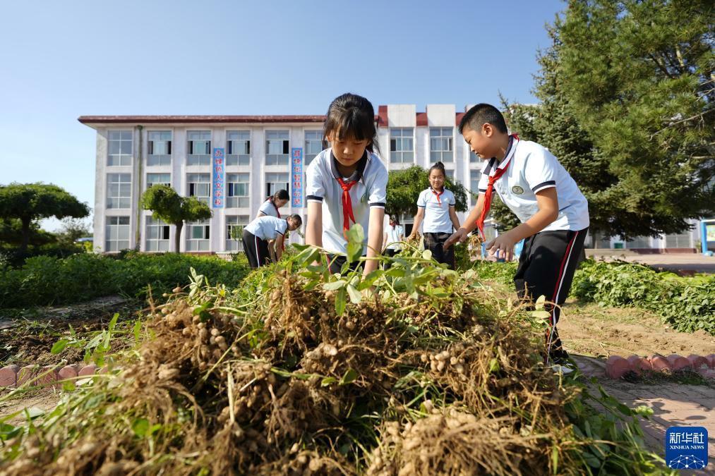 什么是手机水果机